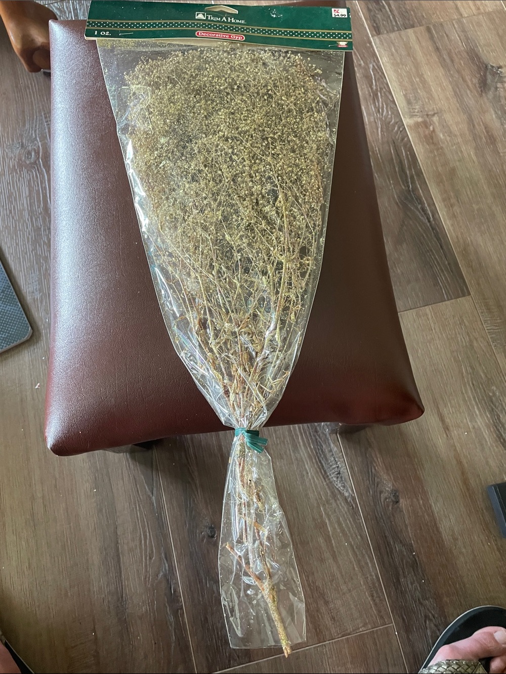 Natural Dried Branch Spray - Gold